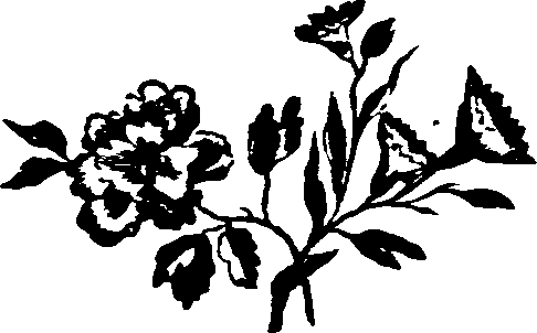 031/031750010204870_0.png