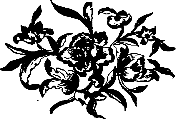 031/031750010205390_0.png