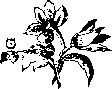 031/031750010205490_0.png