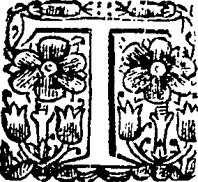 031/031880010205320_2.png