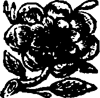 032/032060060201200_0.png
