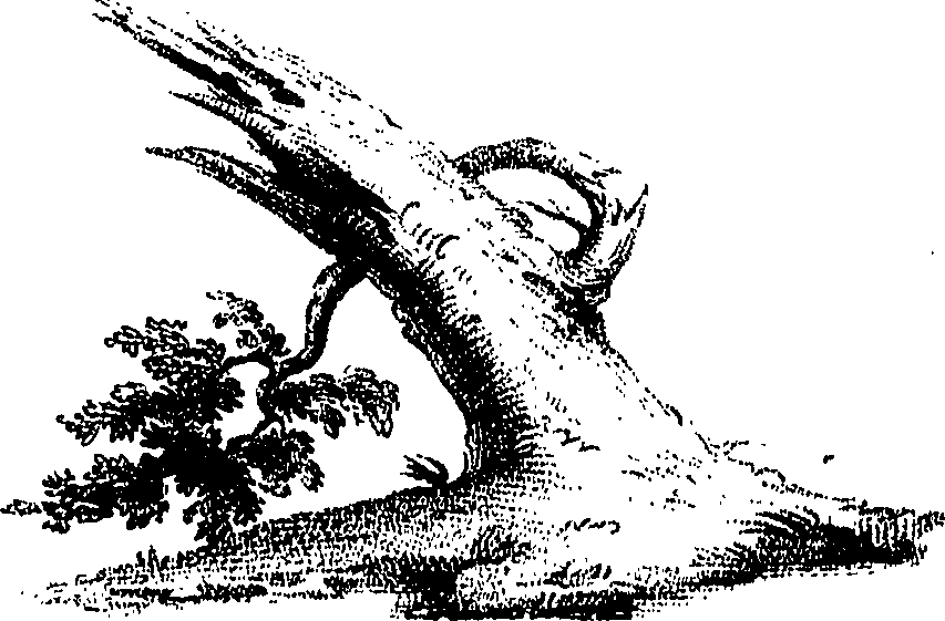 032/032160070000340_0.png