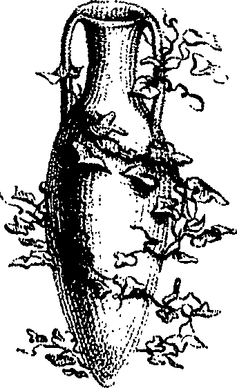 032/032160070000450_0.png