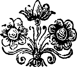 032/032240040000020_0.png