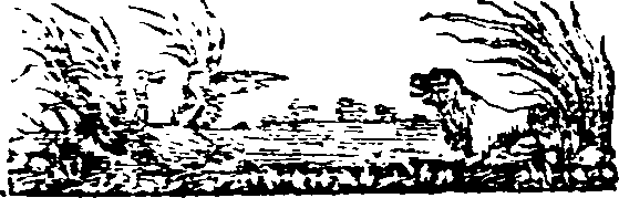 032/032510060000040_0.png