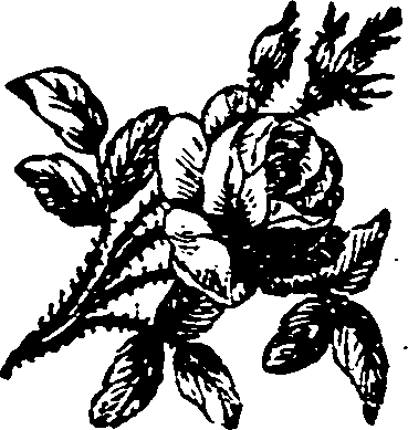 032/032690080001190_0.png