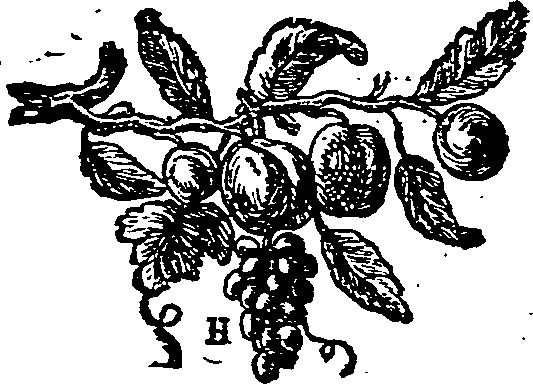 032/032730070001590_0.png
