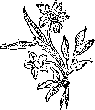 032/032730070002680_0.png
