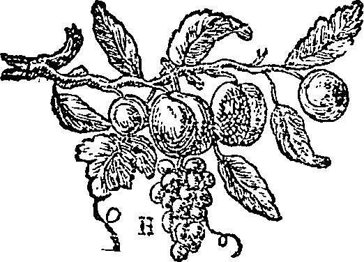 032/032730070003020_0.png
