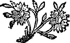 032/032730070003380_0.png