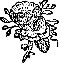 032/032730070003780_0.png