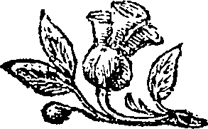 032/032740030001200_0.png