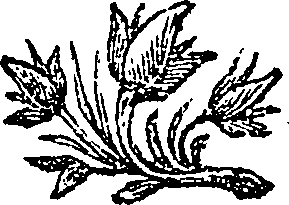032/032740030001360_0.png