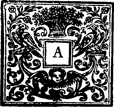 032/032820060000080_0.png