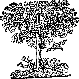 032/032930150001040_0.png