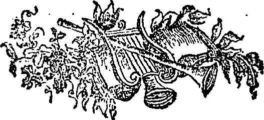 033/033160220000030_0.png