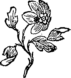 033/033160220000050_0.png