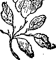 033/033160220000070_0.png