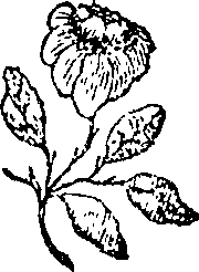 033/033160220000110_0.png