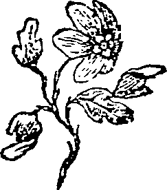 033/033160220000180_0.png