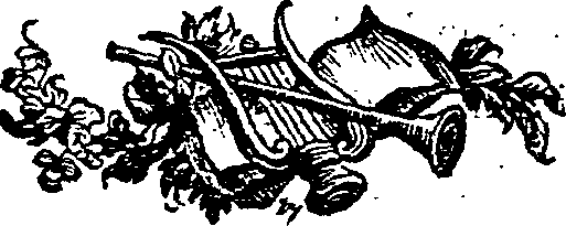 033/033160220000440_0.png