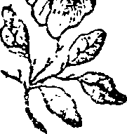 033/033160220000460_0.png