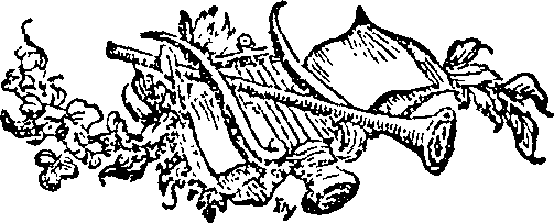 033/033160220000570_0.png