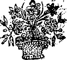 033/033220090002630_0.png
