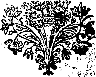 033/033220120000010_0.png