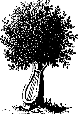 033/033230180000010_0.png