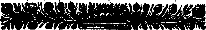 033/033250120000050_0.png