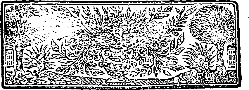 033/033540010000800_0.png