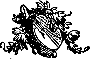 033/033550010300980_0.png