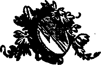 033/033550010502400_0.png
