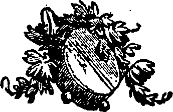 033/033550010503170_0.png