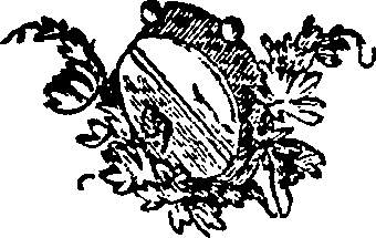 033/033550010902010_0.png