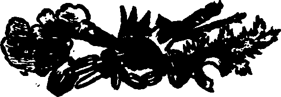 033/033560011001090_0.png