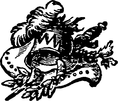 033/033560011302970_0.png