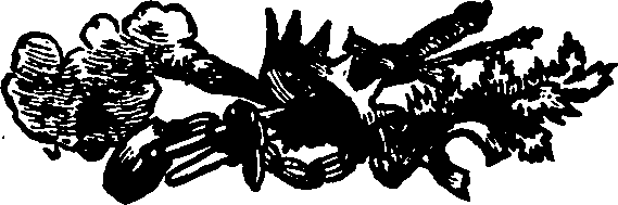 033/033560011502200_0.png