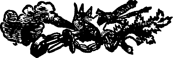 033/033560011503720_0.png
