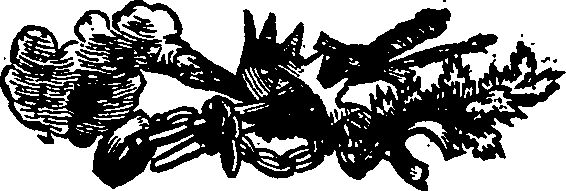 033/033570011601650_0.png