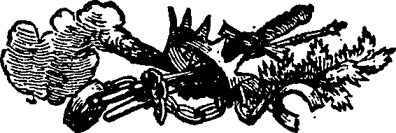 033/033570011803670_1.png