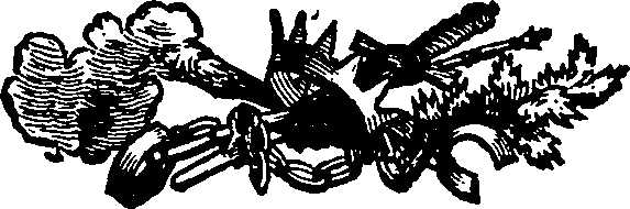033/033570011900100_0.png
