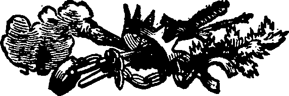 033/033570011902420_0.png