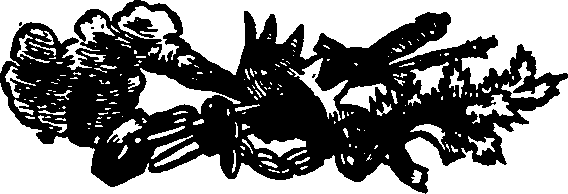 033/033570011903820_1.png