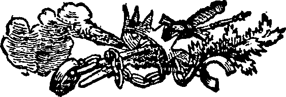 033/033570012000060_0.png