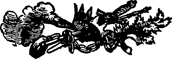 033/033570012001540_0.png