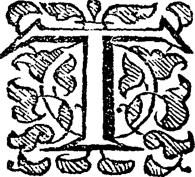 033/033650010000310_0.png