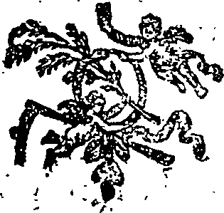 033/033700060001410_0.png