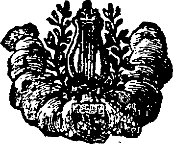 033/033700060001920_0.png